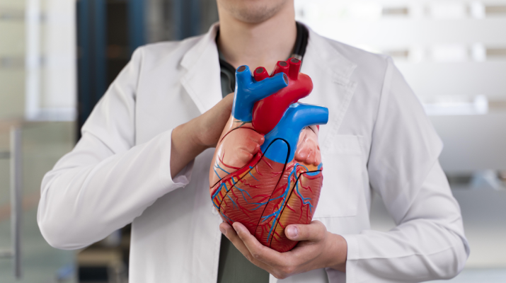 Cardiology